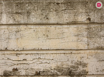 Дерматит: кожа кричит SOS!