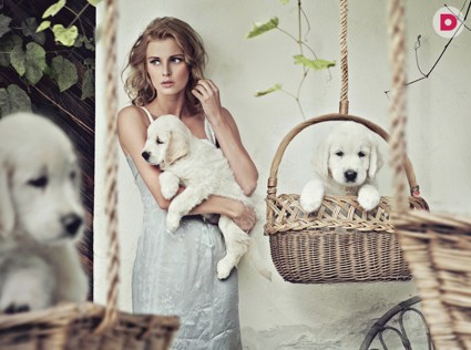 Дамы с какими собачками нравятся мужчинам?