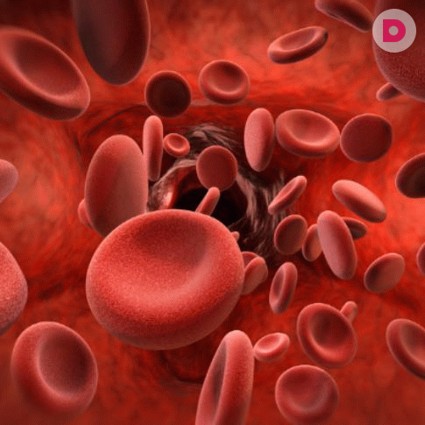 С помощью каких продуктов можно разжижать кровь?