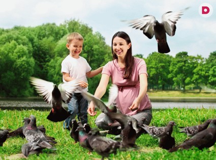 Экологические экскурсии