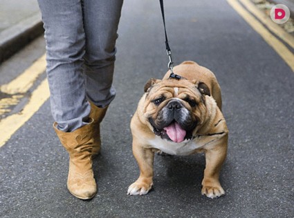 Учимся ходить... рядом