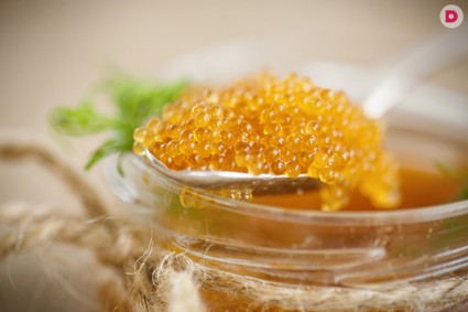 Что можно приготовить из икры судака