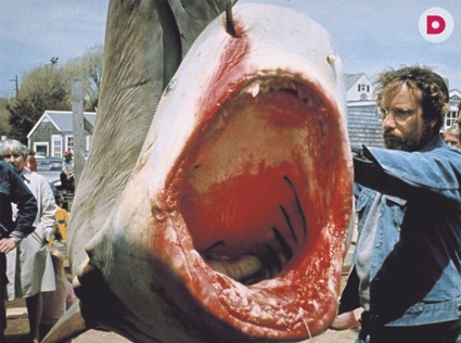 Научный факт: смотрим ужастики и худеем 