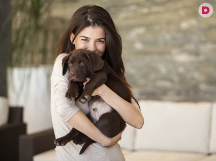 Почему мы расстаемся с питомцами