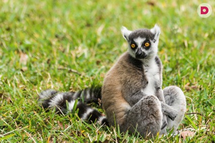 10 лучших зоопарков мира