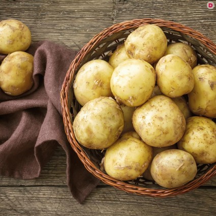 Астрологическая диета. Стихия Земли