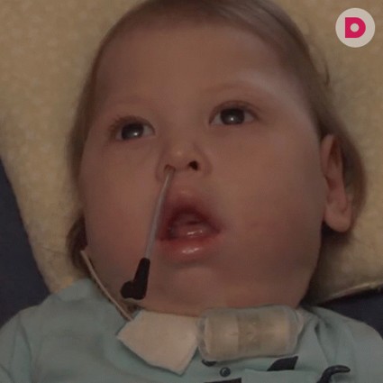 Давиду нужна ваша помощь!