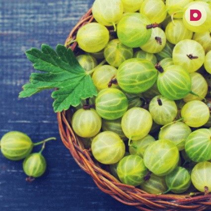 Полезные свойства крыжовника