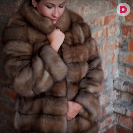 Соболиная шуба: роскошь мягкого золота