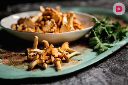 Швеция – грибной рай!