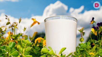 Бактерии, которых не надо бояться!