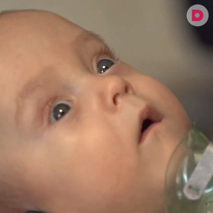 Максиму Кувшинову нужна ваша помощь!