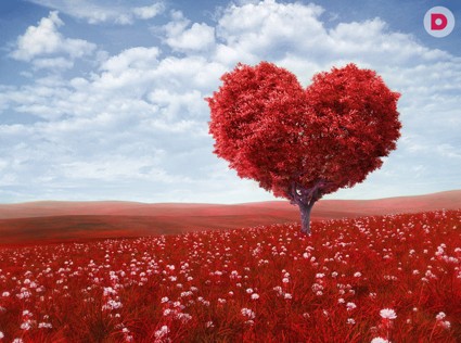 Что значит слово «любовь»?