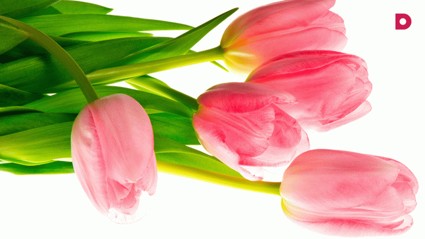 Видеопоздравление с 8 марта от Александра Селезнева