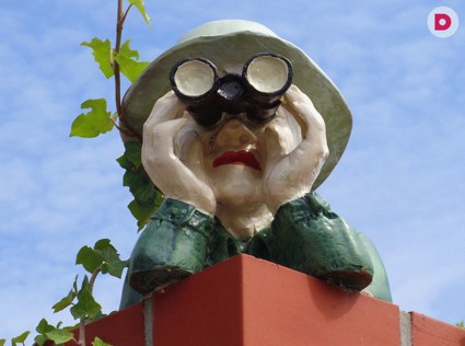 4 приема, как cкрыть свой сад от любопытствующих соседей