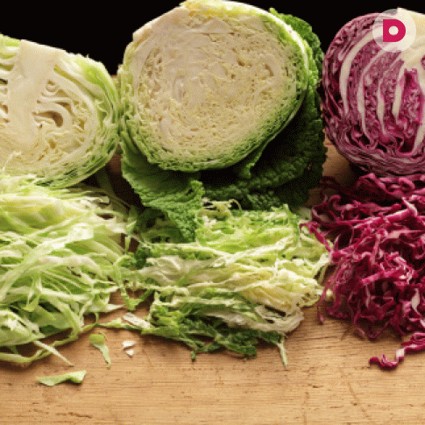 Классификация капусты по сортам, видам