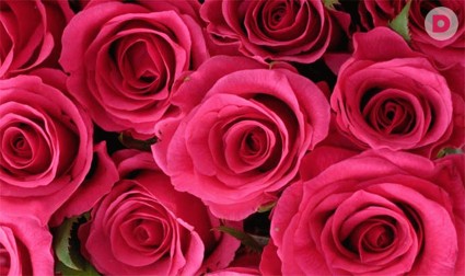 Цветочные истории, или Что такое флористика