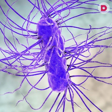 Насколько опасны половые инфекции