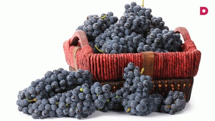 Новый эликсир молодости