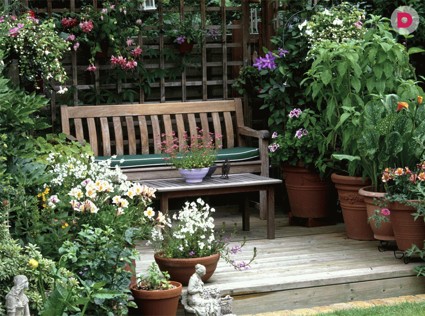 Садовая скамья как украшение ландшафта