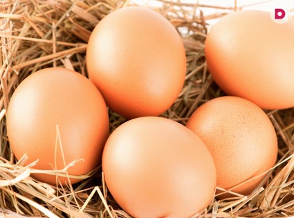 Куриное яйцо, как символ жизни