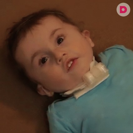 Володе нужна ваша помощь!