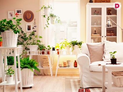 День 22. Что выросло