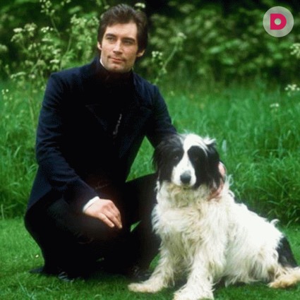 12 лучших цитат из фильма «Джейн Эйр» 