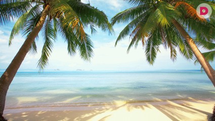 Памятка путешественникам: из зимы в лето