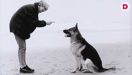 Как стать хорошим хозяином