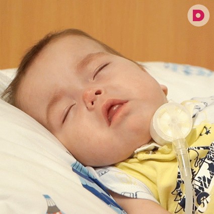 Льву нужна ваша помощь!