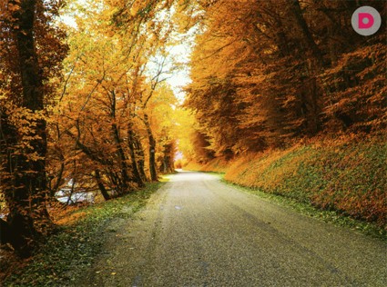 Маршруты выходного дня: куда поехать в сентябре