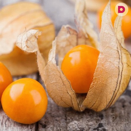 Какие полезные свойства у физалиса? 