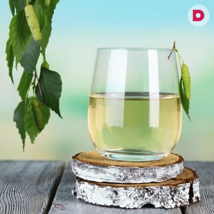 Живая вода: чем полезен березовый сок