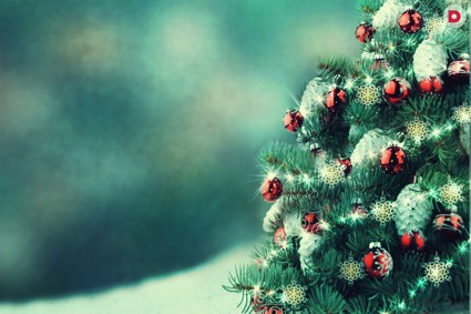 Готовимся к году Огненной Обезьяны по фэн-шуй