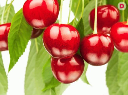 Экопродукты для красоты и молодости: вишня