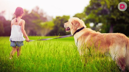 Детские страхи. Зоофобия