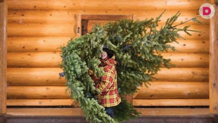 Нарядить красавицу