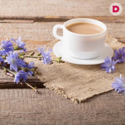 Как употреблять в пищу цикорий беременным женщинам