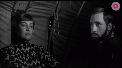 «Вертикаль» 