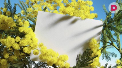 О своих желаниях говорите прямо!