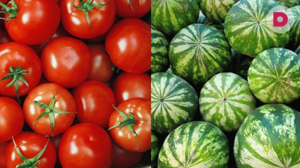 Тест. Каждому овощу – свой фрукт!