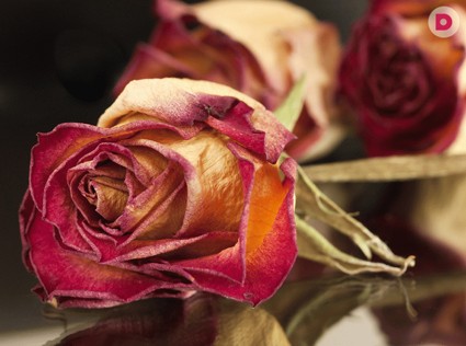 Почему уходит любовь? Мужской взгляд