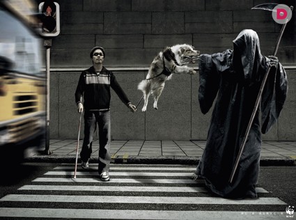 Собака в ответе за того, кто ее приручил…