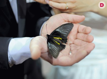 Первый кризис в отношениях. Перезагрузка или развод?