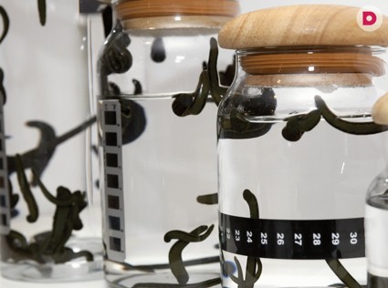 Гирудотерапия: лечение пиявками