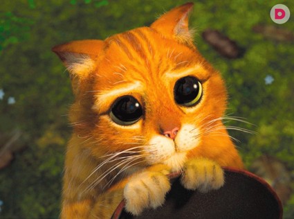 Простить, нельзя обидеться...