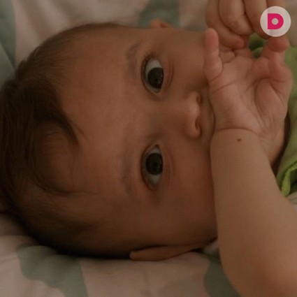 Алберту нужна ваша помощь!