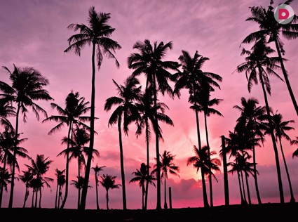 Малайзия: буйство зелени и красок