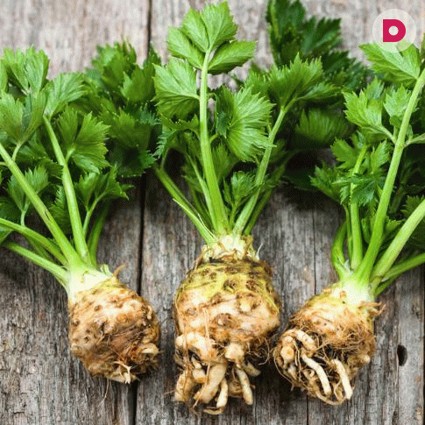 Полезные рецепты из сельдерея